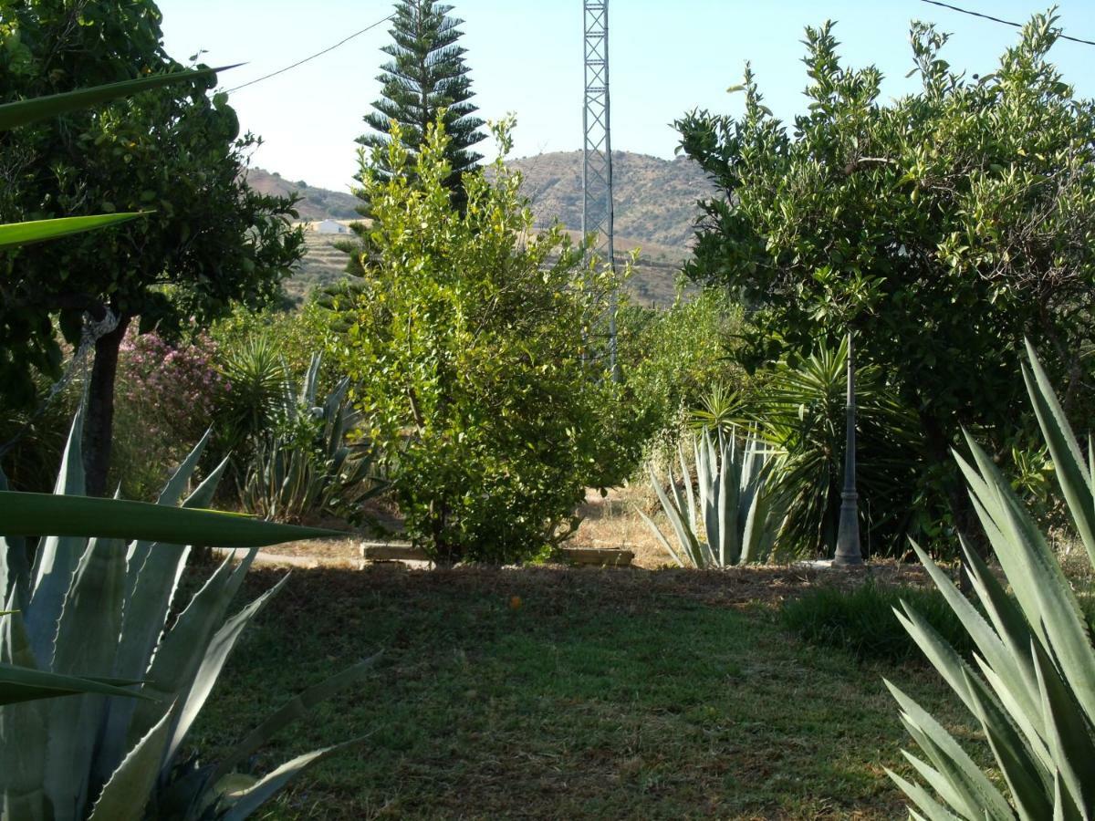 La Finca Blanca Alora Exteriér fotografie